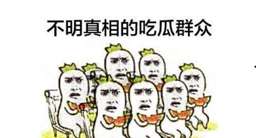 吃瓜51朝阳群众,网络舆论场上的“民间侦探”