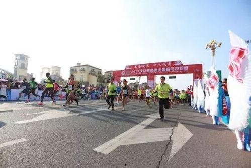 雄县武夷山新闻头条,探寻自然奇观，共赏生态美景