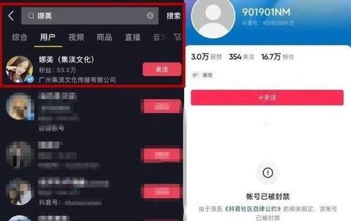 网红词S,揭秘网红新宠的火爆魅力