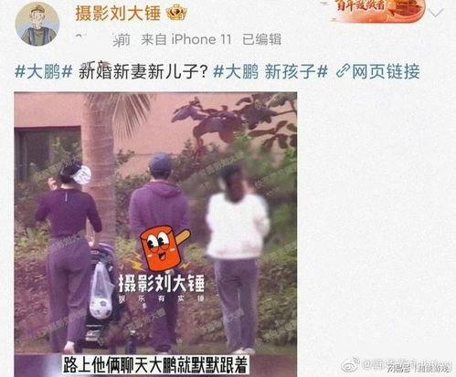 大鹏养家爆料新闻,揭秘娱乐圈最新热点事件