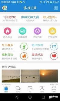 安庆头条招司机吗,共创美好未来！