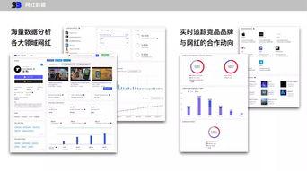 如何认清网红营销团队,如何识别与构建高效合作策略