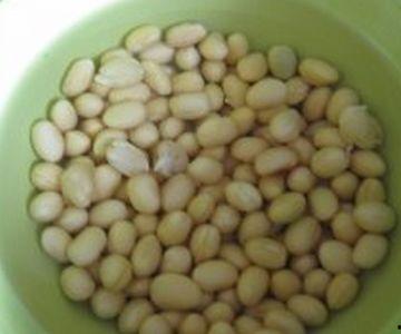 吃瓜能喝豆浆,夏日消暑新选择