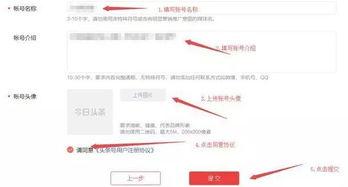 头条号注册怎么开通,注册后如何快速开通副标题功能