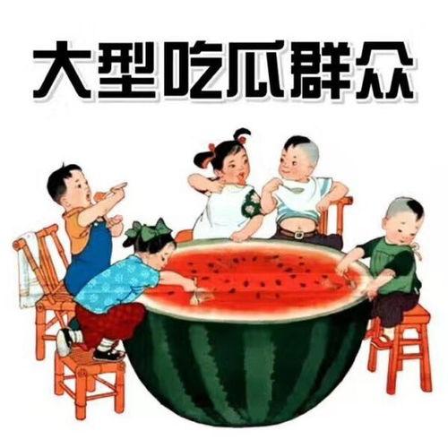 在家吃瓜睡觉的小说,一部现代宅男宅女的生活小说