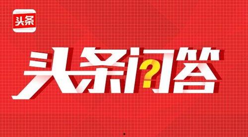 头条问答该认证哪个领域