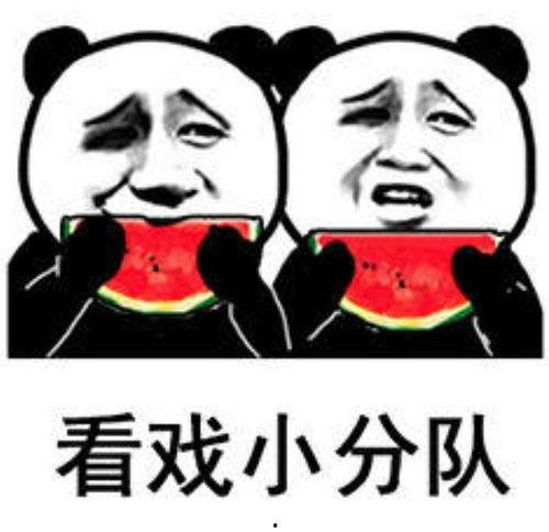 吃瓜表情回复,吃瓜群众视角下的娱乐圈风云