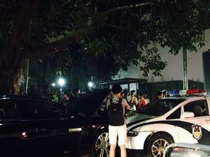 郑州警车爆料视频播放网站,一线执法瞬间直击