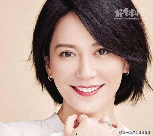 明星对俞飞鸿的评价