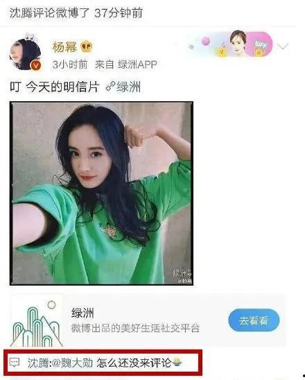 娱乐圈吃瓜官方网站